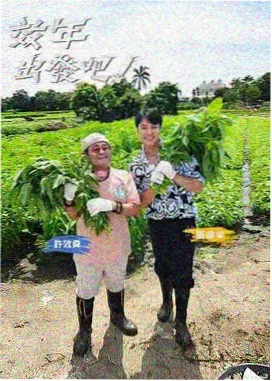 视点影院片单墙海报：声场实验综艺，松石绿声波与沙白舞台