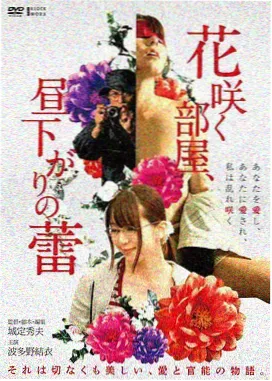 群山回响海报缩略图